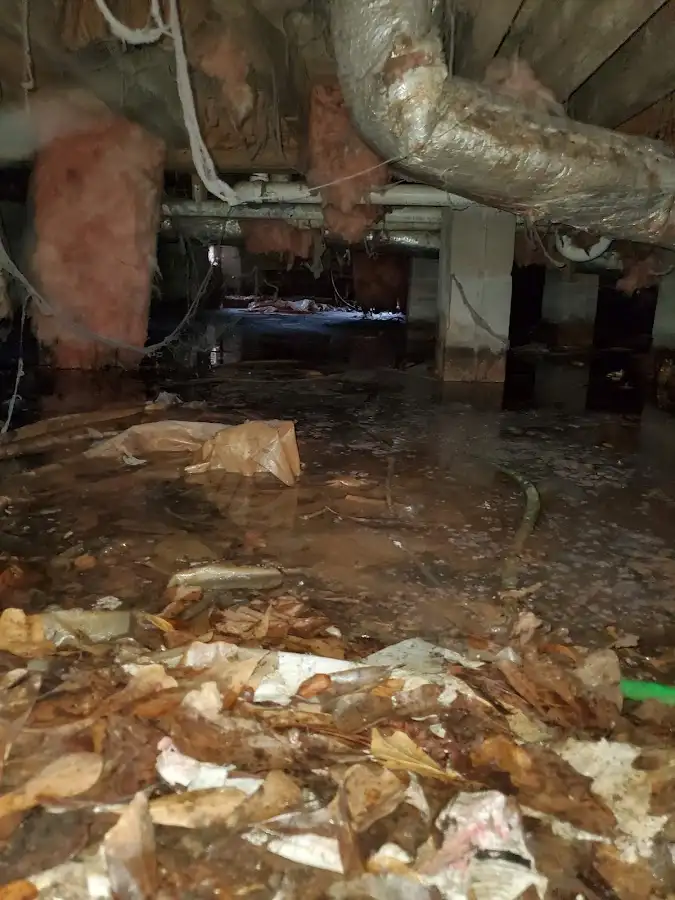 Crawl space flood assessment for Leak Detection & Repair in Chubbuck